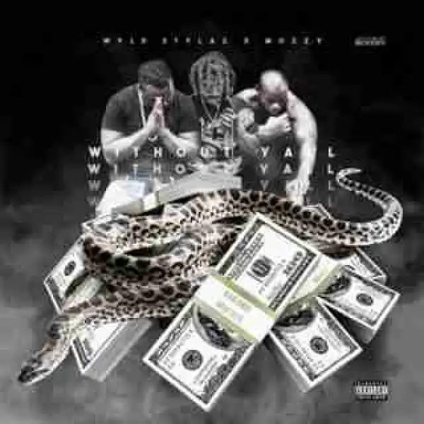 Instrumental: Wyld Stylaz - Without Yall Ft. Mozzy